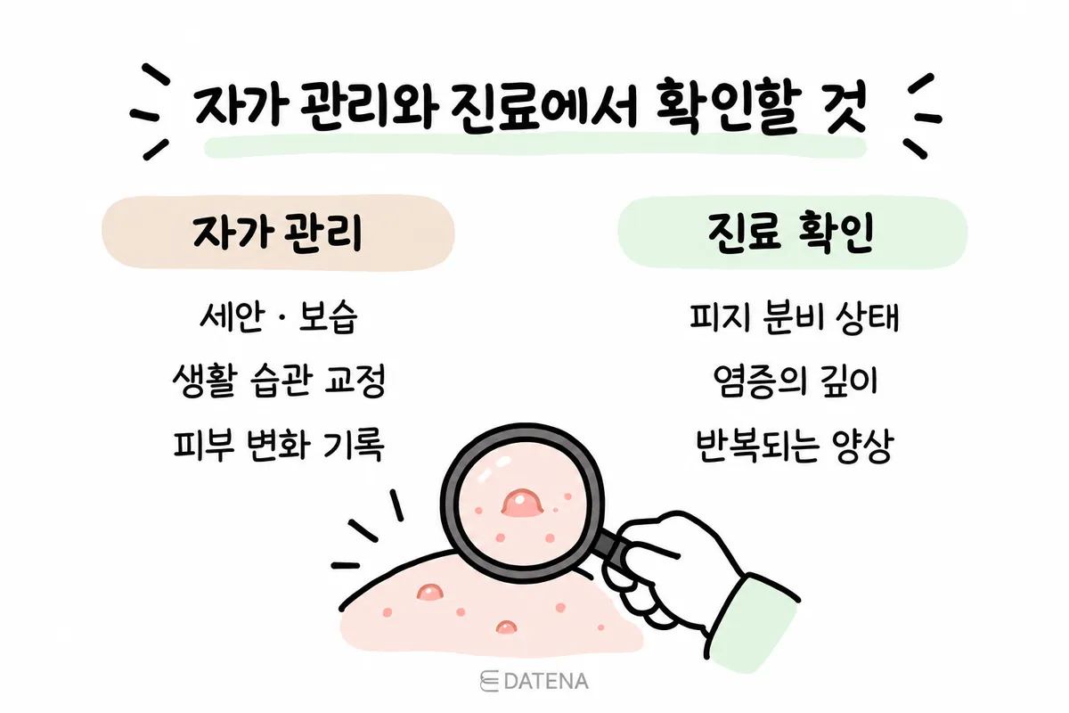 여드름 자가 관리와 진료 시 피지·염증 깊이·반복 양상을 확인하는 항목 비교