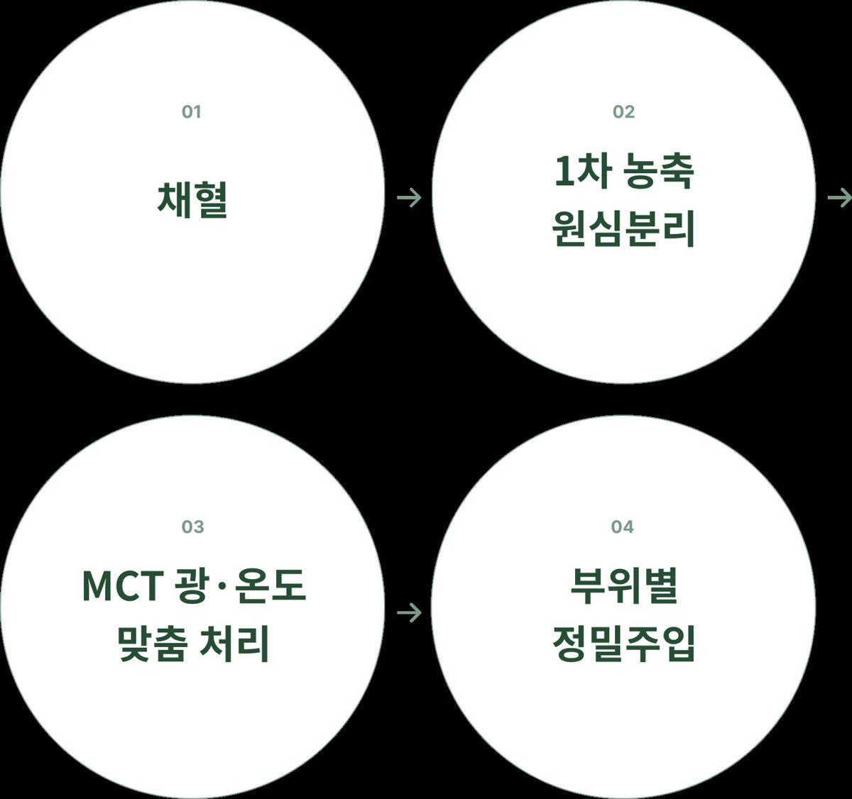 소생테라피 안내 23