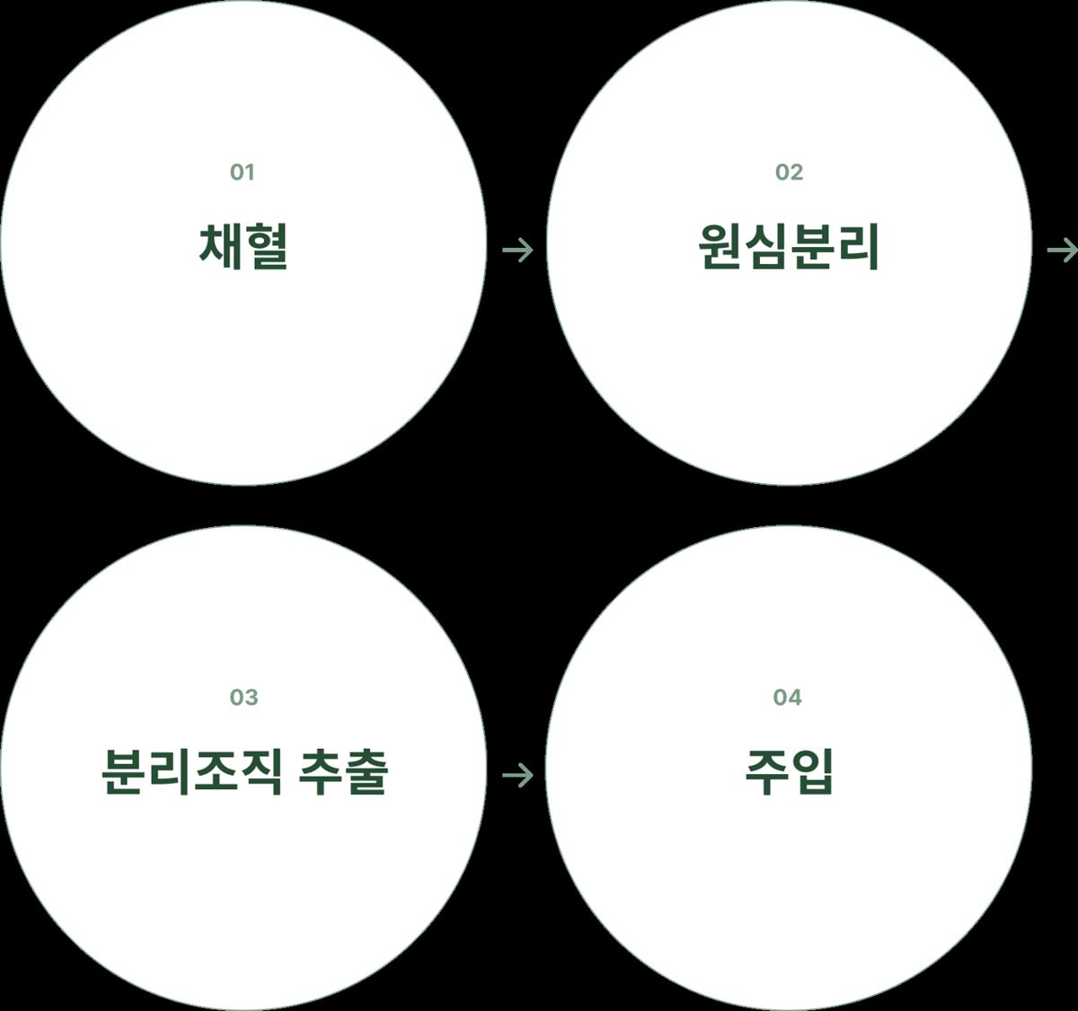 소생테라피 안내 8
