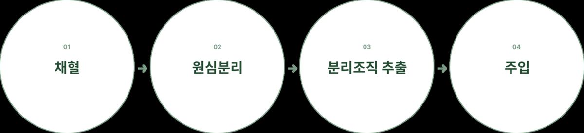 소생테라피 안내 6